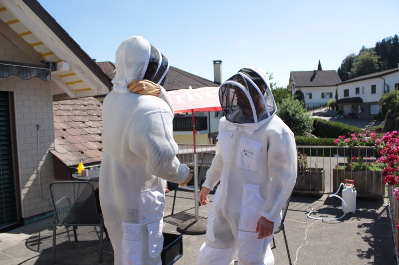 Deux experts Kammerjaeger &agrave; Bitsch portent des combinaisons de protection blanches pour intervenir sur un toit par une journ&eacute;e ensoleill&eacute;e.